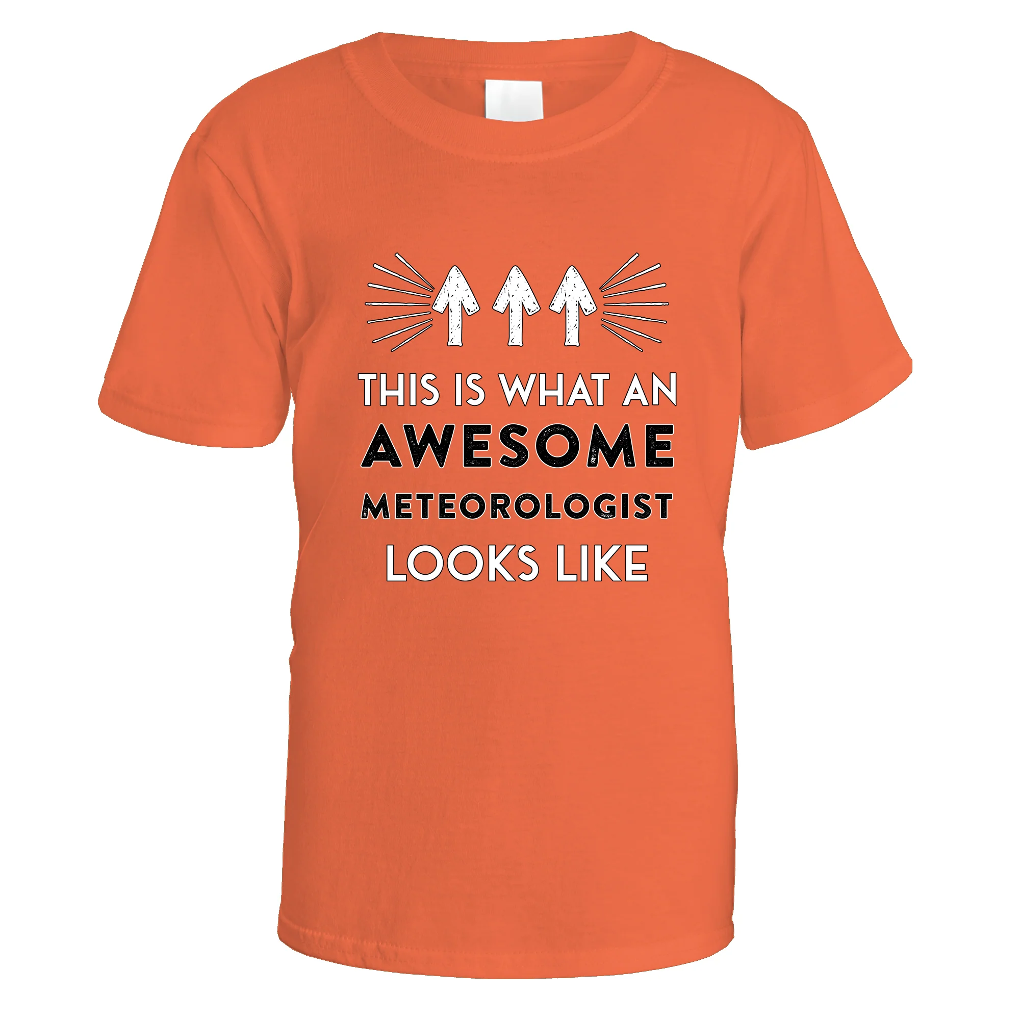 Awesome Meteorologist T-Shirt - Image 18