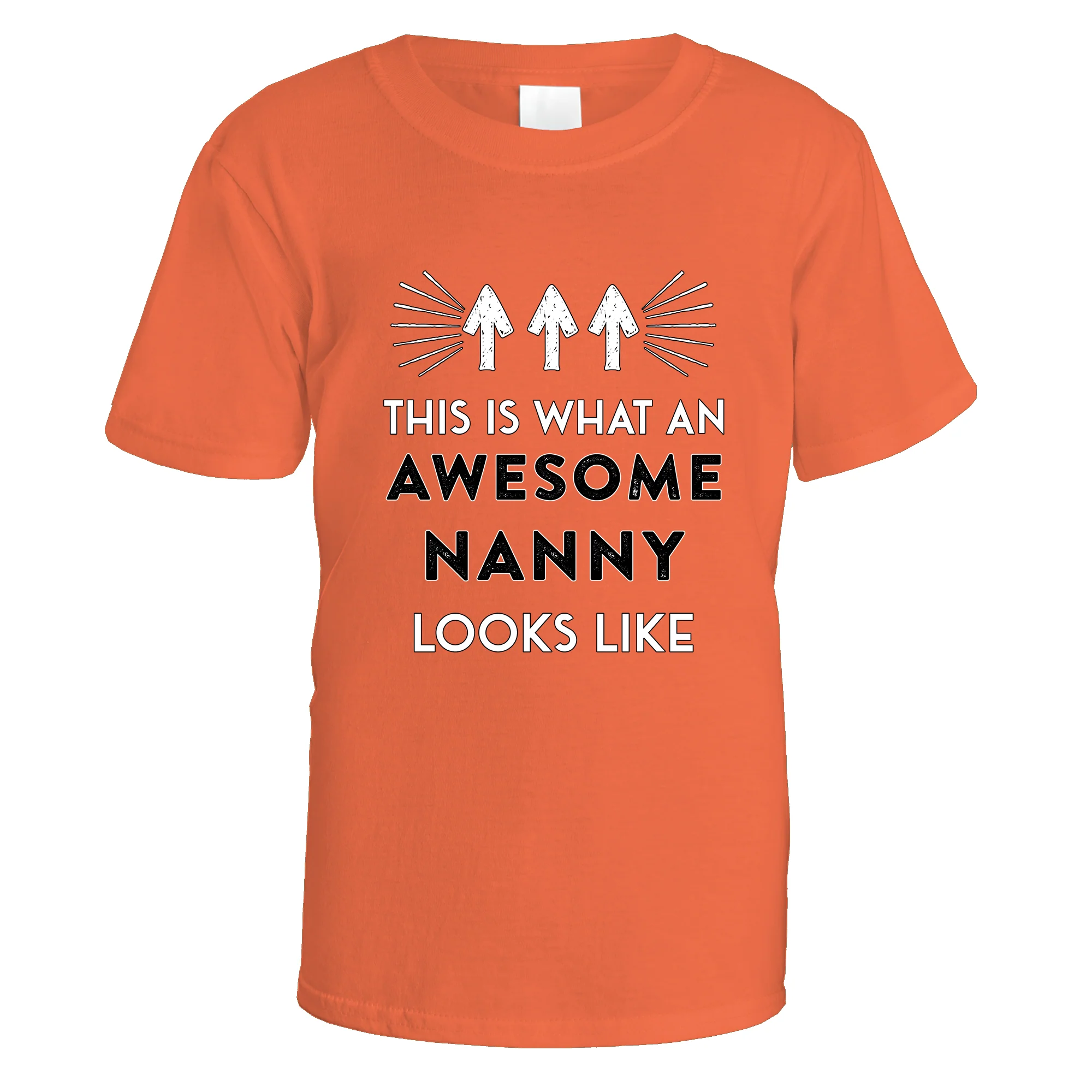 Awesome Nanny T-Shirt