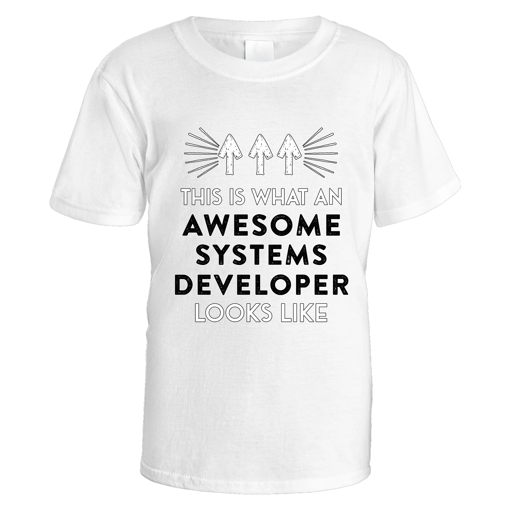 Awesome Systems Developer T-Shirt - Image 2