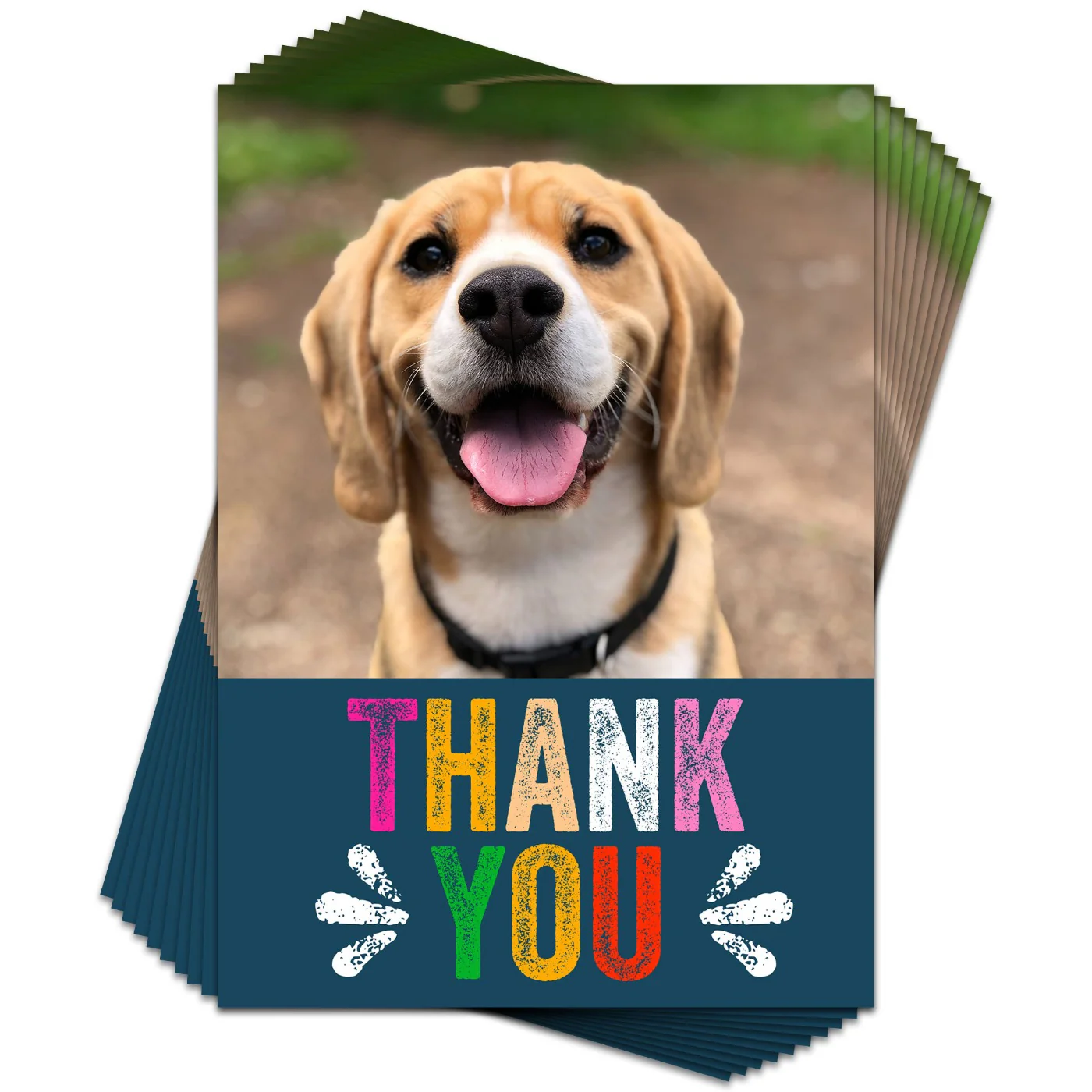 Colourful Thank You Photo Card - Pack of 10