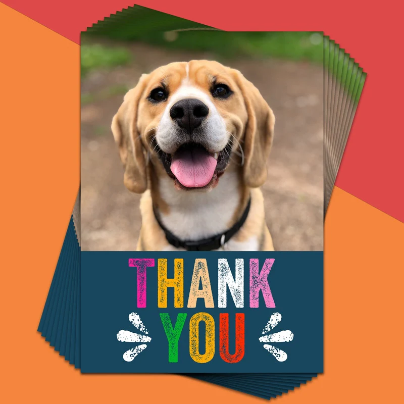Colourful Thank You Photo Card - Pack of 10 - Image 2