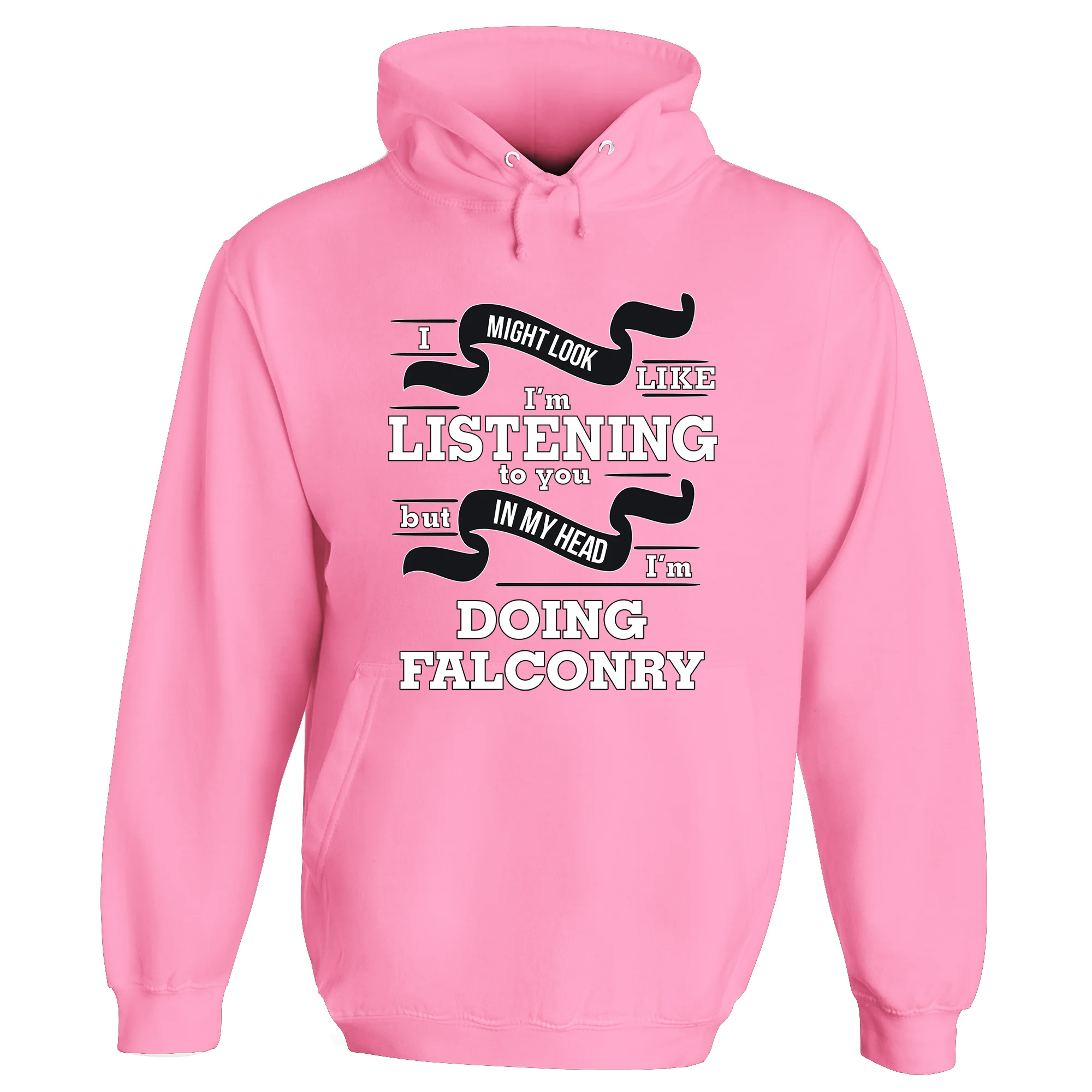 In My Head I'm Doing Falconry Hoodie