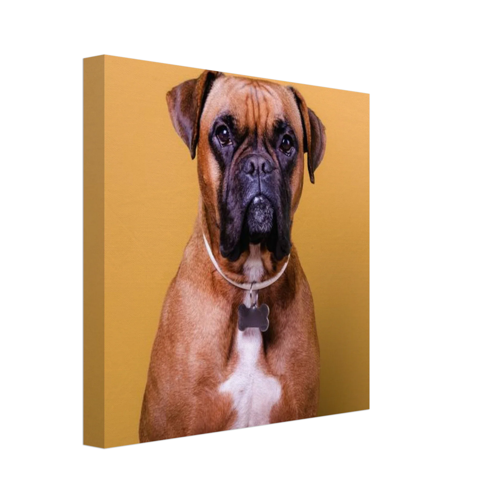 Premium Photo Canvas - Image 12