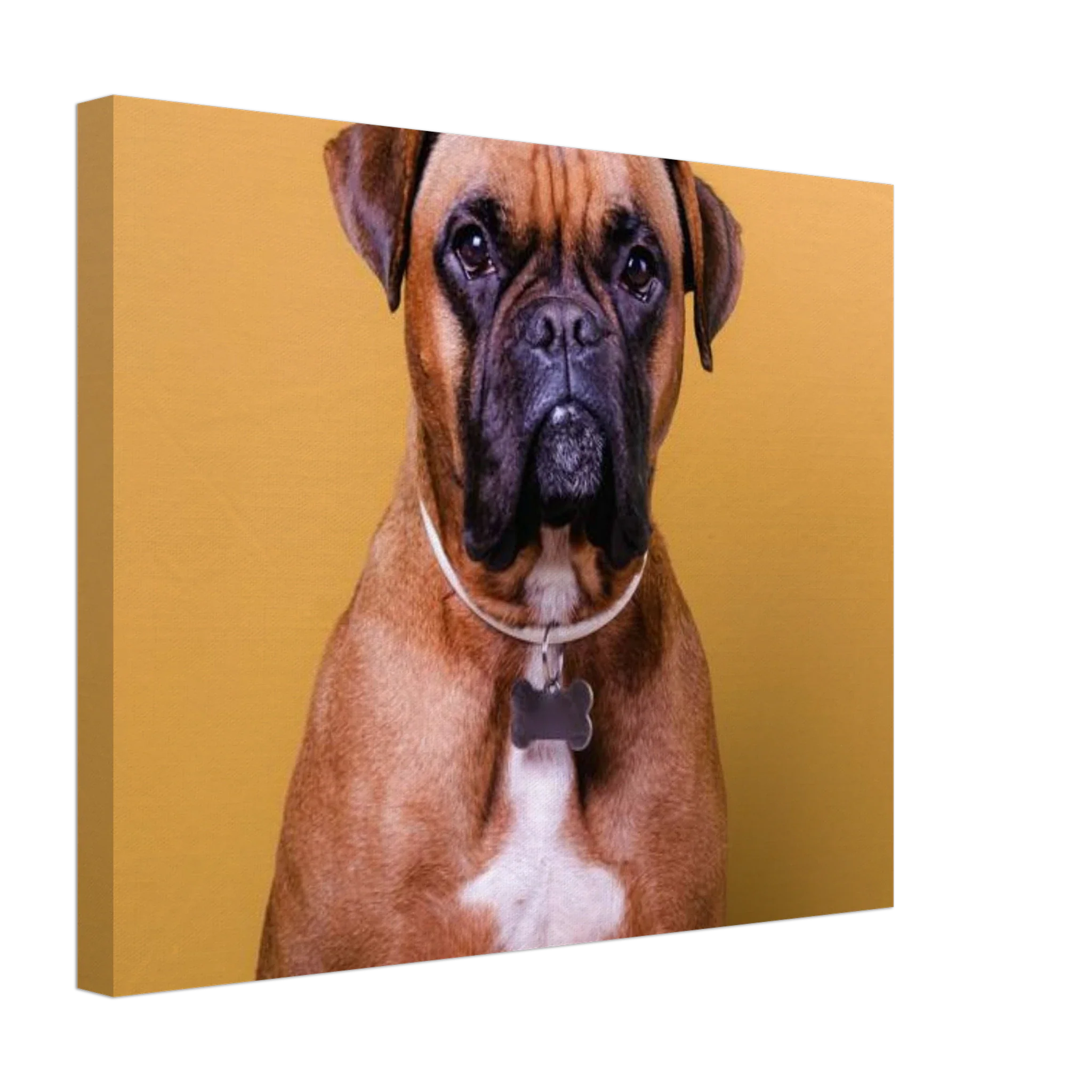 Premium Photo Canvas - Image 13