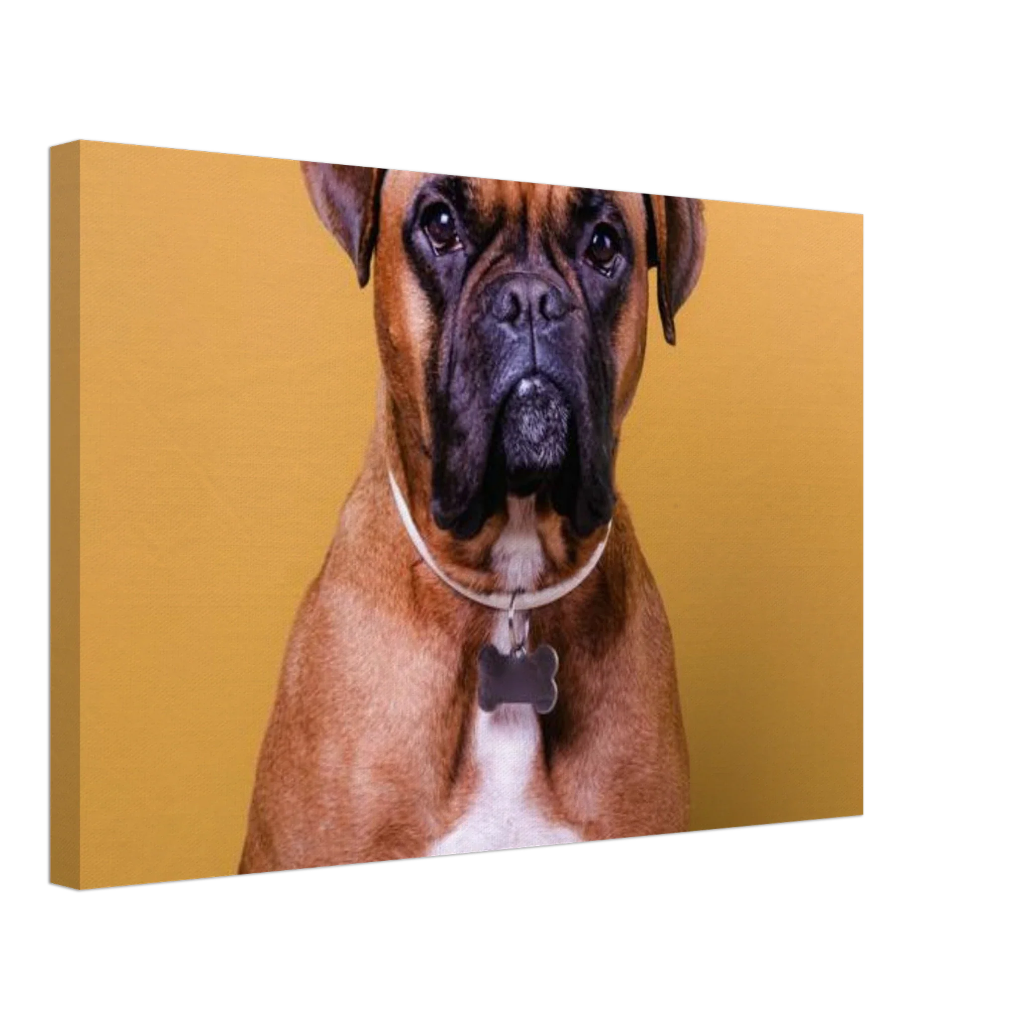 Premium Photo Canvas - Image 20