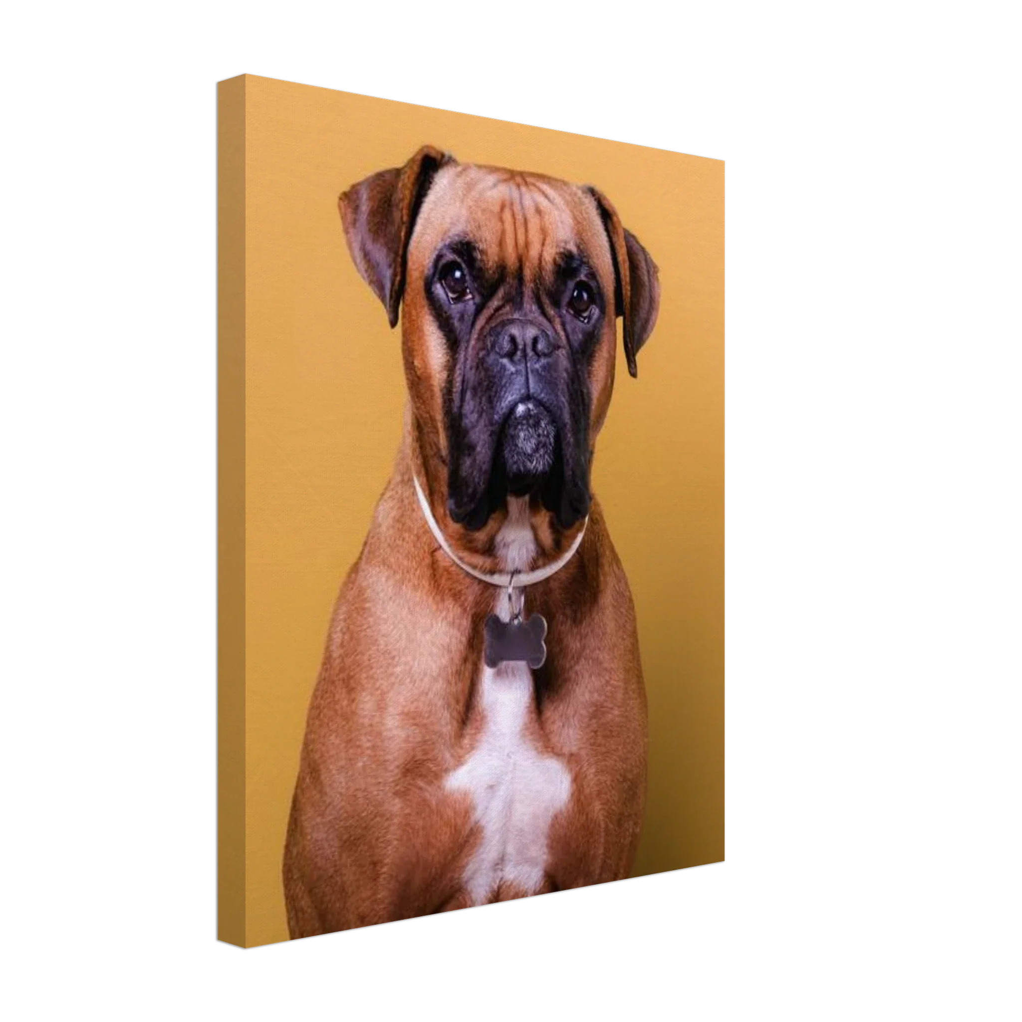 Premium Photo Canvas - Image 4