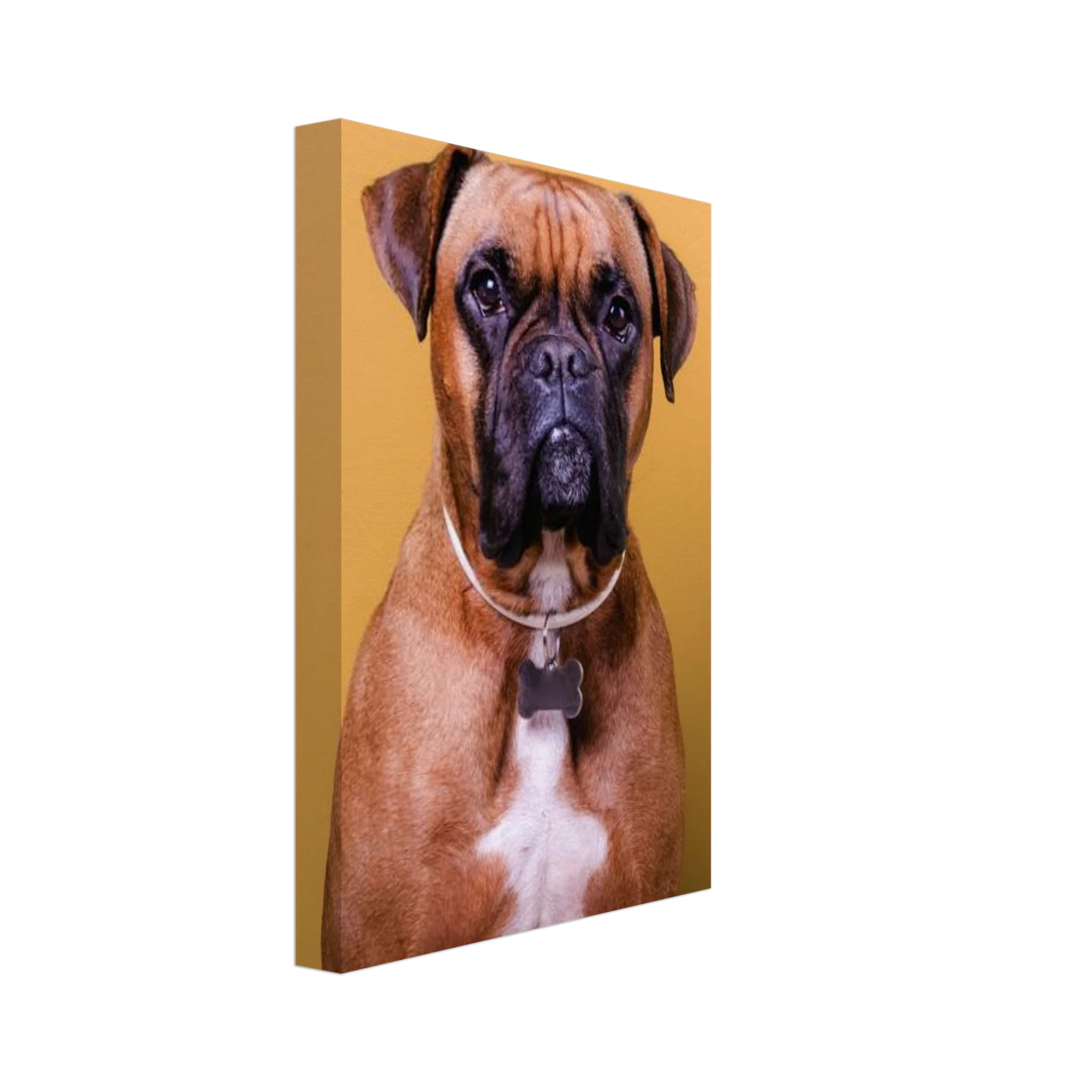 Premium Photo Canvas - Image 7