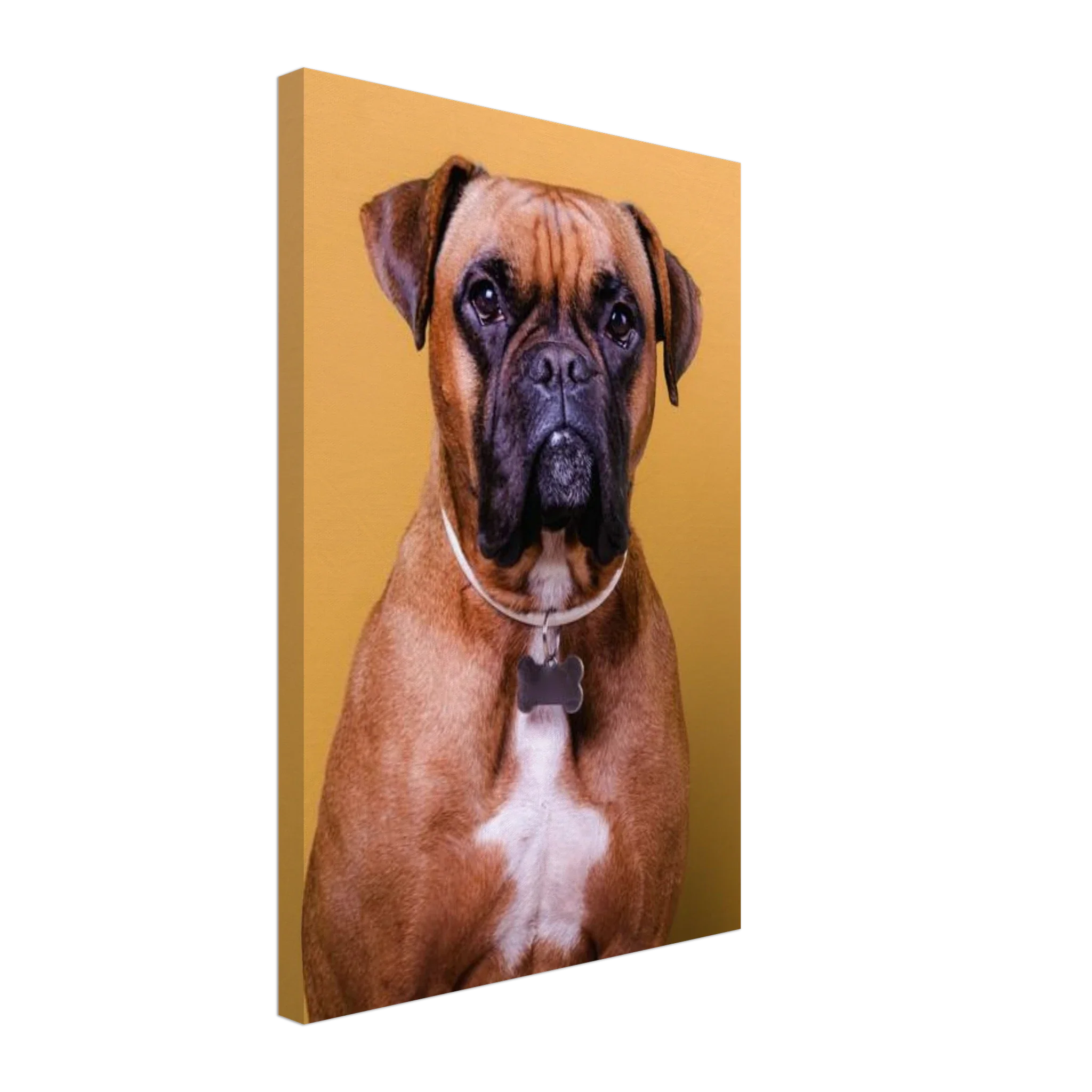 Premium Photo Canvas - Image 8