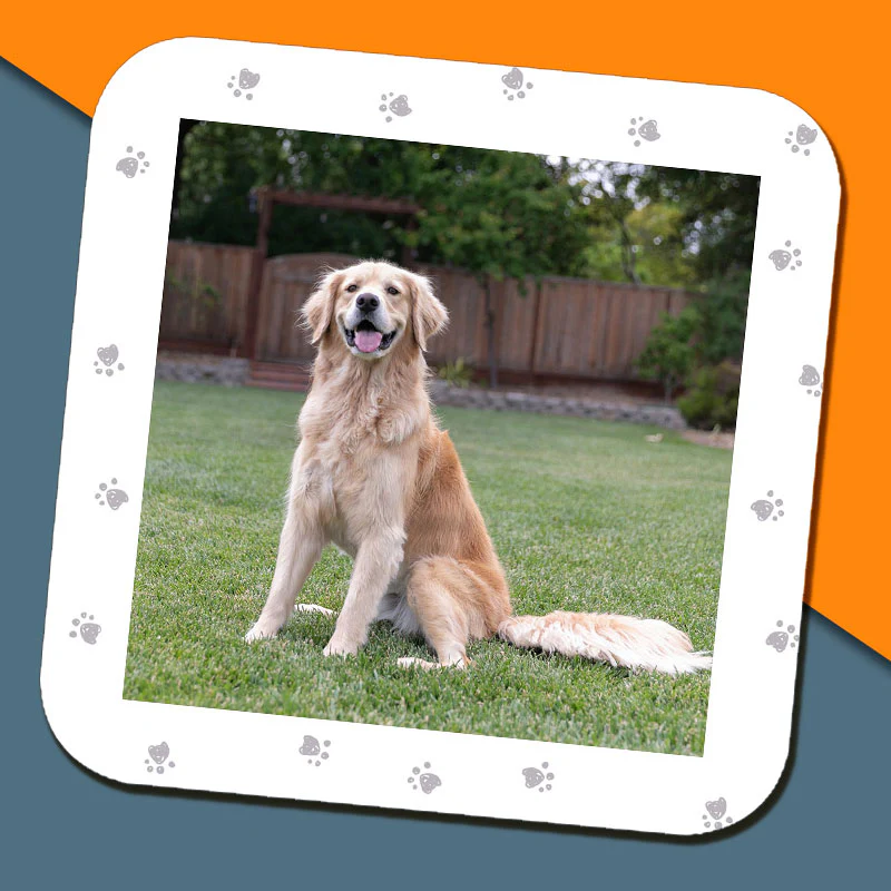 This Human Belongs to Pet Personalised Mug - Image 4